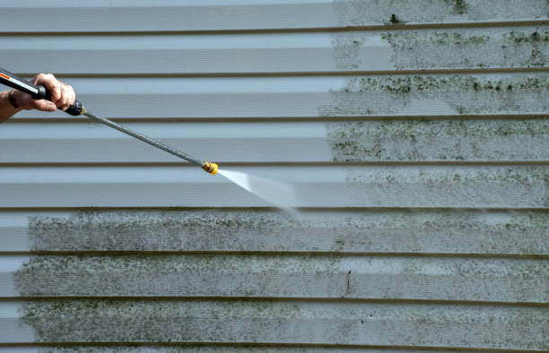 Best Roof Pressure Washing  in Mercer Island, WA